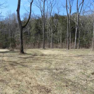 Photo #37 of Unassigned SMITH HOLW, LEXINGTON, VA 89.0 acres
