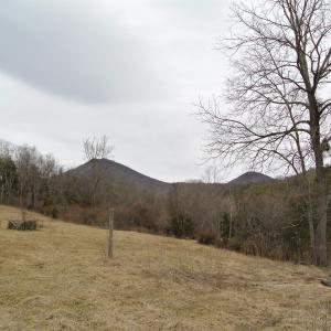 Photo #13 of Unassigned SMITH HOLW, LEXINGTON, VA 89.0 acres