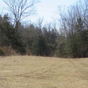 Photo #33 of Unassigned SMITH HOLW, LEXINGTON, VA 89.0 acres