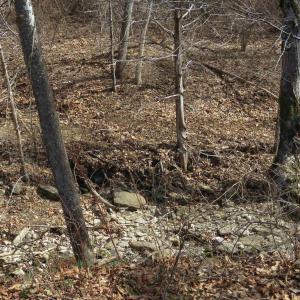 Photo #27 of Unassigned SMITH HOLW, LEXINGTON, VA 89.0 acres