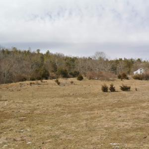 Photo #8 of Unassigned SMITH HOLW, LEXINGTON, VA 89.0 acres