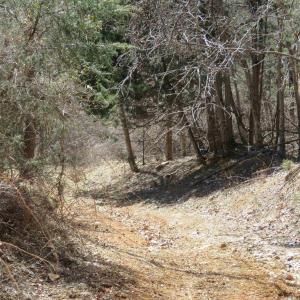 Photo #26 of Unassigned SMITH HOLW, LEXINGTON, VA 89.0 acres