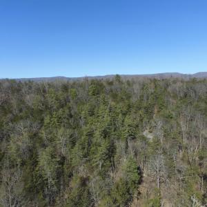 Photo #42 of Unassigned SMITH HOLW, LEXINGTON, VA 89.0 acres