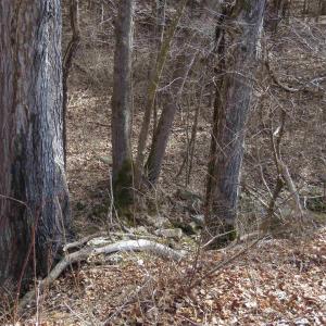 Photo #29 of Unassigned SMITH HOLW, LEXINGTON, VA 89.0 acres