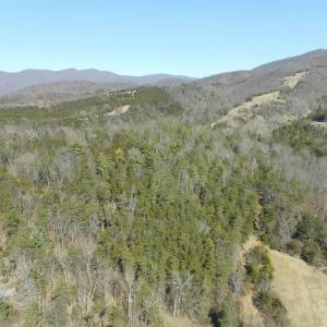 Photo #18 of Unassigned SMITH HOLW, LEXINGTON, VA 89.0 acres