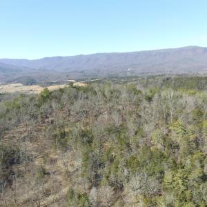 Photo #19 of Unassigned SMITH HOLW, LEXINGTON, VA 89.0 acres