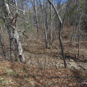 Photo #28 of Unassigned SMITH HOLW, LEXINGTON, VA 89.0 acres