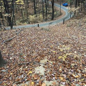 Photo #2 of 2493 WYATT MOUNTAIN RD, DYKE, VA 11.0 acres