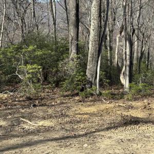 Photo #6 of 2493 WYATT MOUNTAIN RD, DYKE, VA 11.0 acres