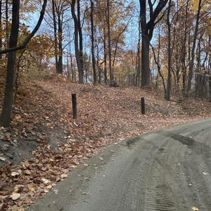 Photo #1 of 2493 WYATT MOUNTAIN RD, DYKE, VA 11.0 acres