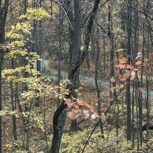 Photo #3 of 2493 WYATT MOUNTAIN RD, DYKE, VA 11.0 acres