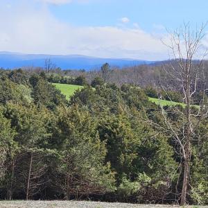 Photo #15 of Lot 5 BERRY FARM RD, STAUNTON, VA 5.8 acres