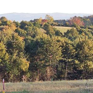 Photo #10 of Lot 5 BERRY FARM RD, STAUNTON, VA 5.8 acres