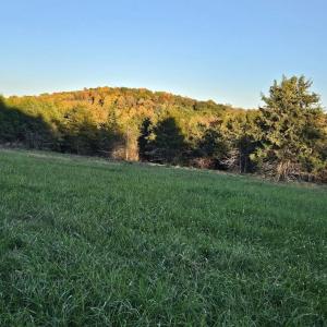 Photo #21 of Lot 5 BERRY FARM RD, STAUNTON, VA 5.8 acres