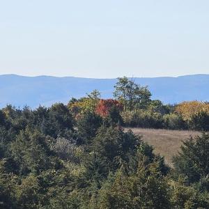 Photo #5 of Lot 5 BERRY FARM RD, STAUNTON, VA 5.8 acres