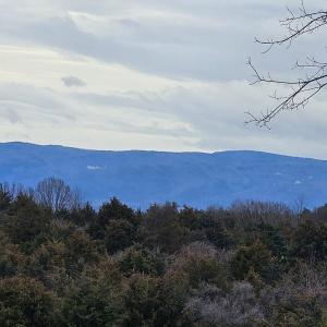 Photo #1 of Lot 5 BERRY FARM RD, STAUNTON, VA 5.8 acres