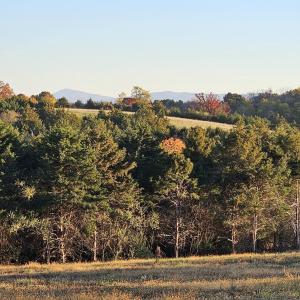 Photo #22 of Lot 5 BERRY FARM RD, STAUNTON, VA 5.8 acres