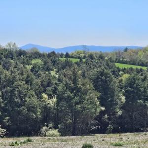 Photo #16 of Lot 5 BERRY FARM RD, STAUNTON, VA 5.8 acres