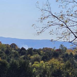 Photo #9 of Lot 5 BERRY FARM RD, STAUNTON, VA 5.8 acres