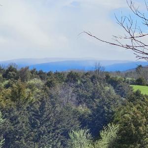 Photo #14 of Lot 5 BERRY FARM RD, STAUNTON, VA 5.8 acres