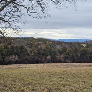 Photo #12 of Lot 5 BERRY FARM RD, STAUNTON, VA 5.8 acres