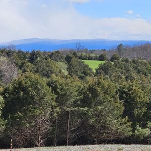 Photo #23 of Lot 5 BERRY FARM RD, STAUNTON, VA 5.8 acres