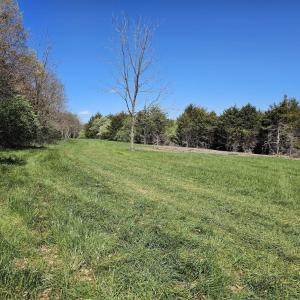 Photo #2 of Lot 5 BERRY FARM RD, STAUNTON, VA 5.8 acres