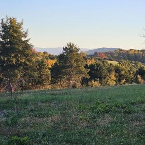 Photo #18 of Lot 5 BERRY FARM RD, STAUNTON, VA 5.8 acres