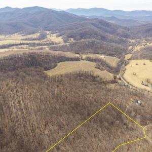 Photo #5 of TBD WINSOME ORCHARD LN, NORTH GARDEN, VA 26.4 acres