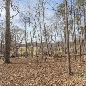 Photo #1 of TBD WINSOME ORCHARD LN, NORTH GARDEN, VA 26.4 acres