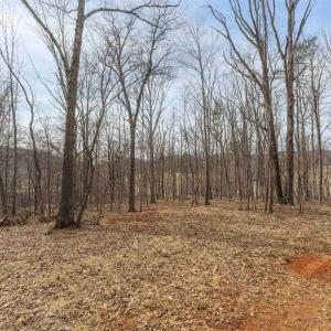 Photo #3 of TBD WINSOME ORCHARD LN, NORTH GARDEN, VA 26.4 acres