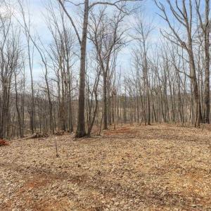 Photo #2 of TBD WINSOME ORCHARD LN, NORTH GARDEN, VA 26.4 acres
