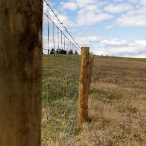 Photo #7 of TBD NAKED CREEK HOLLOW RD, WEYERS CAVE, VA 1.5 acres