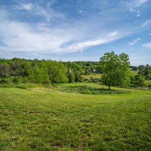 Photo #14 of 3010 WOODBERRY CIR, ROCKINGHAM, VA 1.5 acres