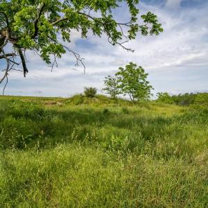 Photo #7 of 3010 WOODBERRY CIR, ROCKINGHAM, VA 1.5 acres