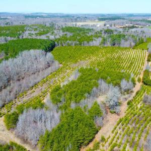 Photo #12 of 357 ac RENAN RD, GRETNA, VA 357.5 acres