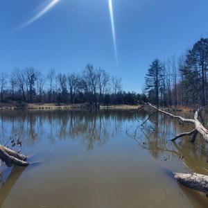 Photo #6 of 357 ac RENAN RD, GRETNA, VA 357.5 acres