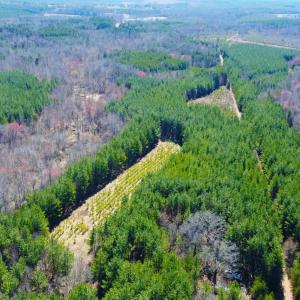 Photo #10 of 357 ac RENAN RD, GRETNA, VA 357.5 acres