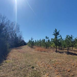 Photo #17 of 357 ac RENAN RD, GRETNA, VA 357.5 acres