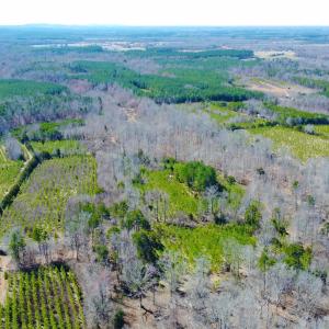 Photo #1 of 357 ac RENAN RD, GRETNA, VA 357.5 acres