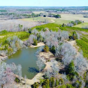 Photo #4 of 357 ac RENAN RD, GRETNA, VA 357.5 acres