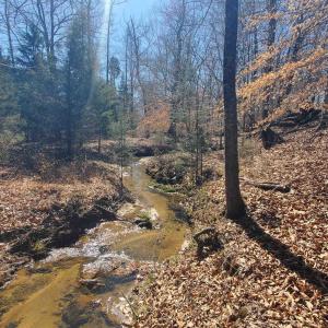 Photo #14 of 357 ac RENAN RD, GRETNA, VA 357.5 acres