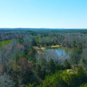 Photo #3 of 357 ac RENAN RD, GRETNA, VA 357.5 acres