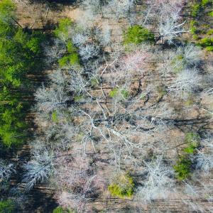 Photo #24 of 357 ac RENAN RD, GRETNA, VA 357.5 acres