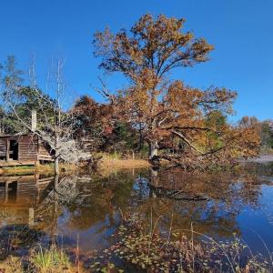 Photo #7 of 357 ac RENAN RD, GRETNA, VA 357.5 acres