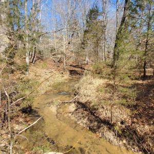 Photo #16 of 357 ac RENAN RD, GRETNA, VA 357.5 acres