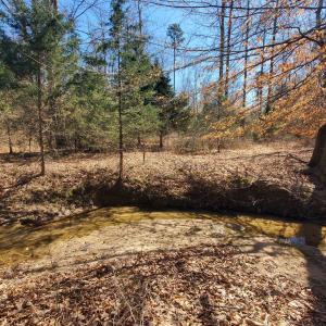 Photo #15 of 357 ac RENAN RD, GRETNA, VA 357.5 acres