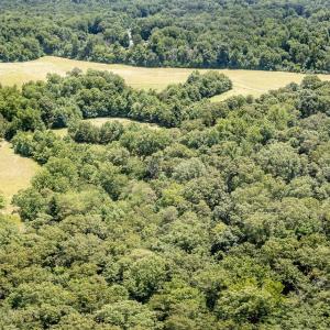 Photo #23 of 11697 SPOTSWOOD TRL, STANARDSVILLE, VA 70.0 acres