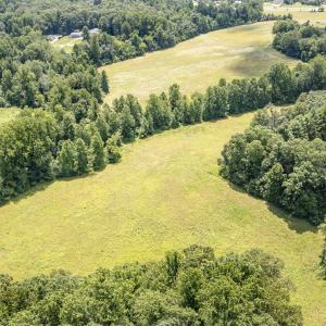 Photo #33 of 11697 SPOTSWOOD TRL, STANARDSVILLE, VA 70.0 acres