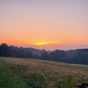 Photo #36 of 11697 SPOTSWOOD TRL, STANARDSVILLE, VA 70.0 acres